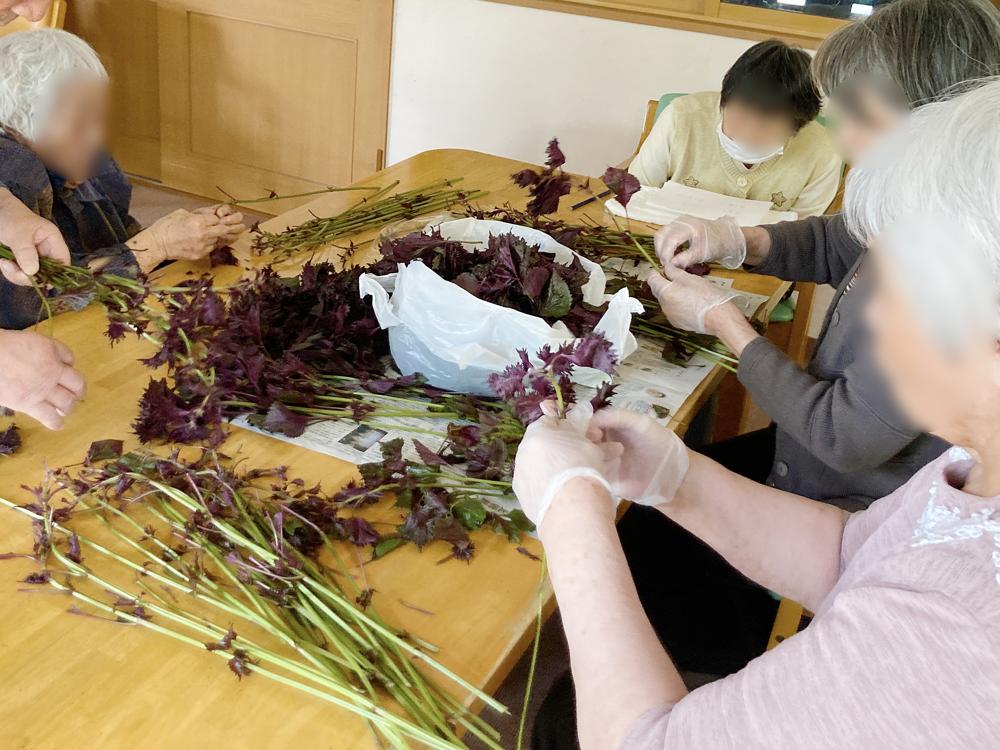 豊富なレクリエーション